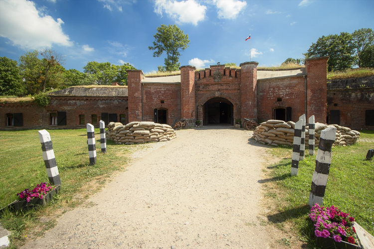 11 форд в калининграде