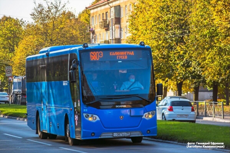 40 автобус маршрут калининград онлайн