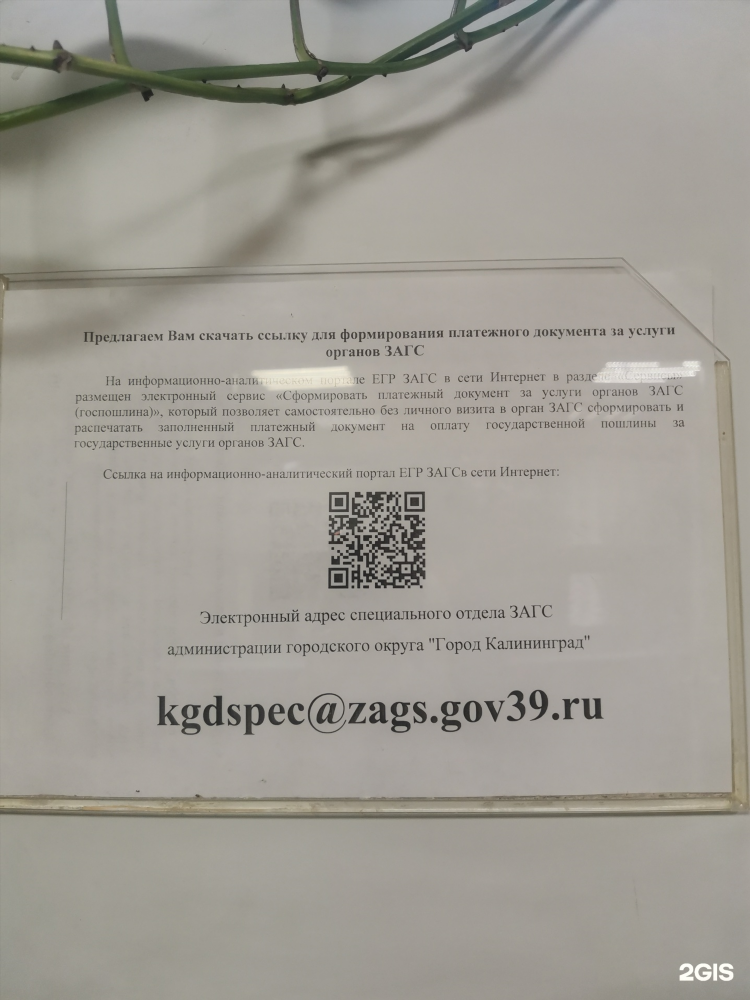 Архив загса калининград