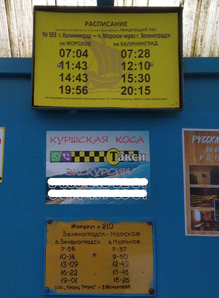 Автобус 141 зеленоградск калининград расписание