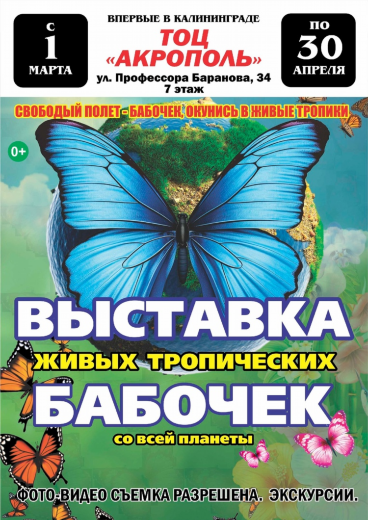 Баранова 36 калининград