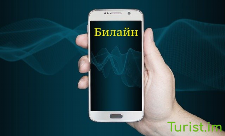 Билайн калининград официальный сайт телефоны