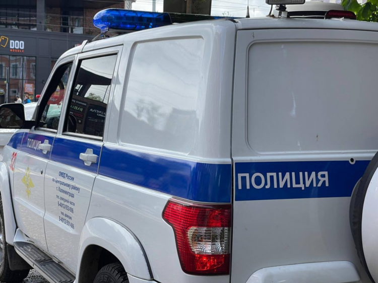 Движение общественного транспорта калининград