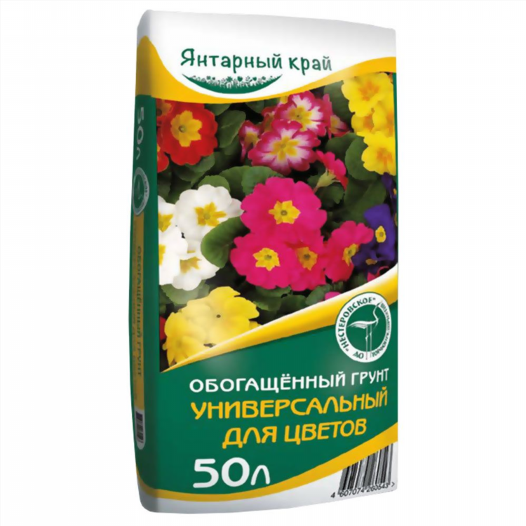 Янтарный край калининград