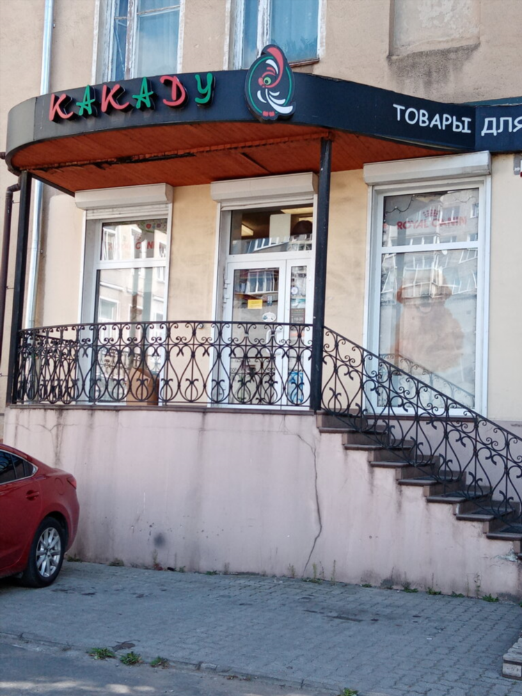 Интернациональная 64 калининград
