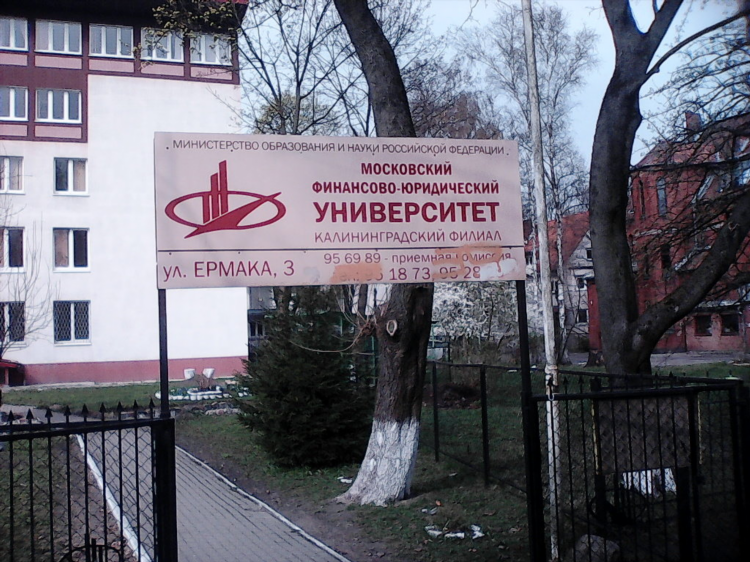 Юриспруденция калининград вузы