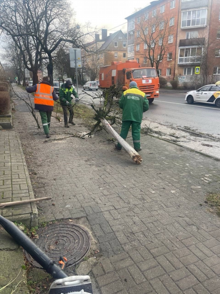 Калининград чистота