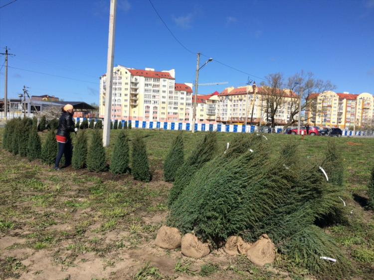 Капремонт калининград личный кабинет