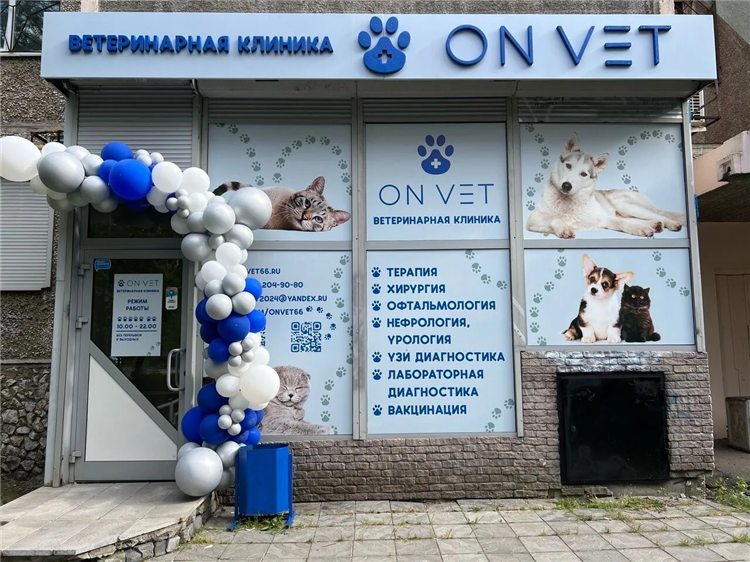 Катина 12 ветклиника калининград