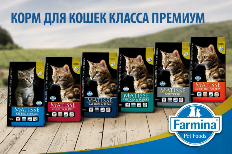 Корм для кошек калининград