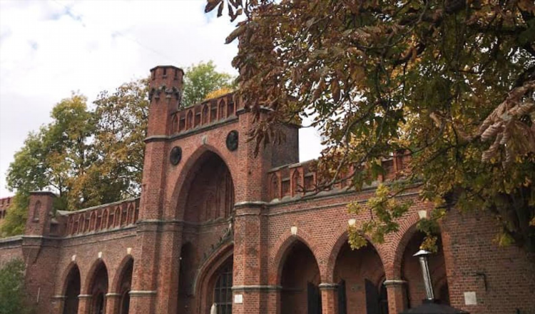 Королевские ворота в калининграде официальный сайт