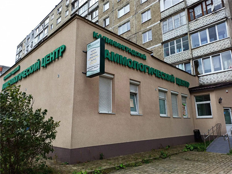 Московский проспект 76 калининград