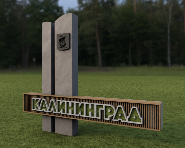 Муниципалитет калининграда