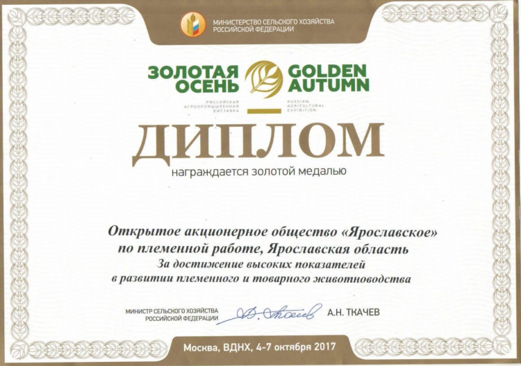 Ооо золотая осень калининград