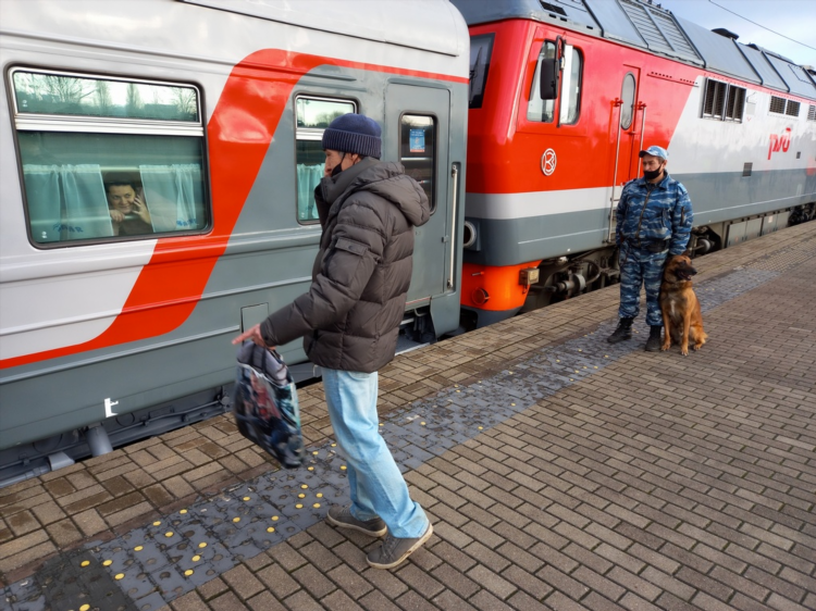 Поезда до калининграда из москвы