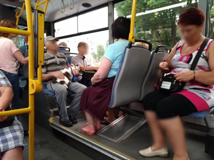 Расписание автобуса 4 калининград