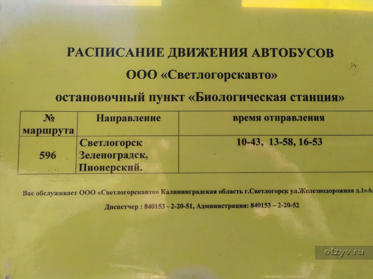 Расписание автобусов светлогорск калининград сегодня