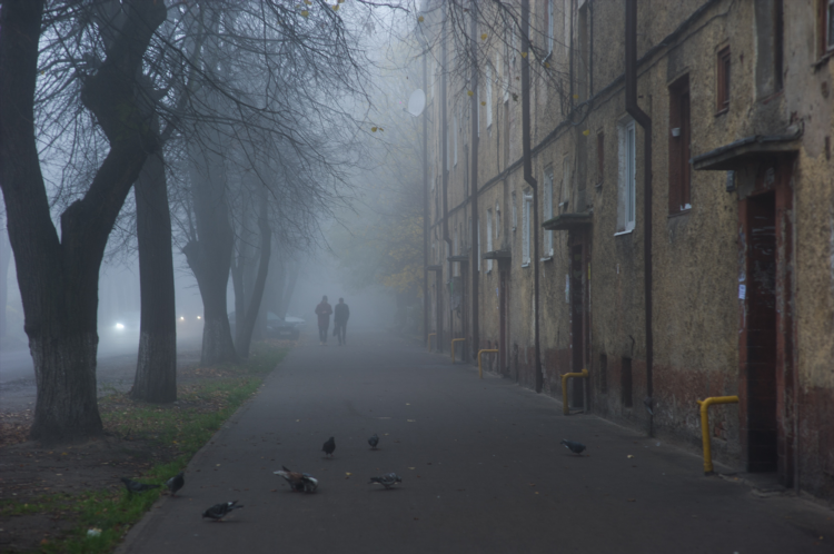 Рп5 в калининграде