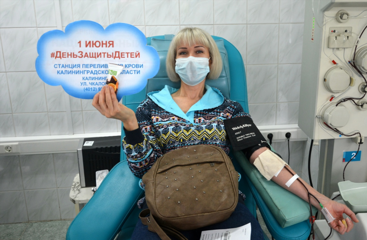 Сдать кровь калининград