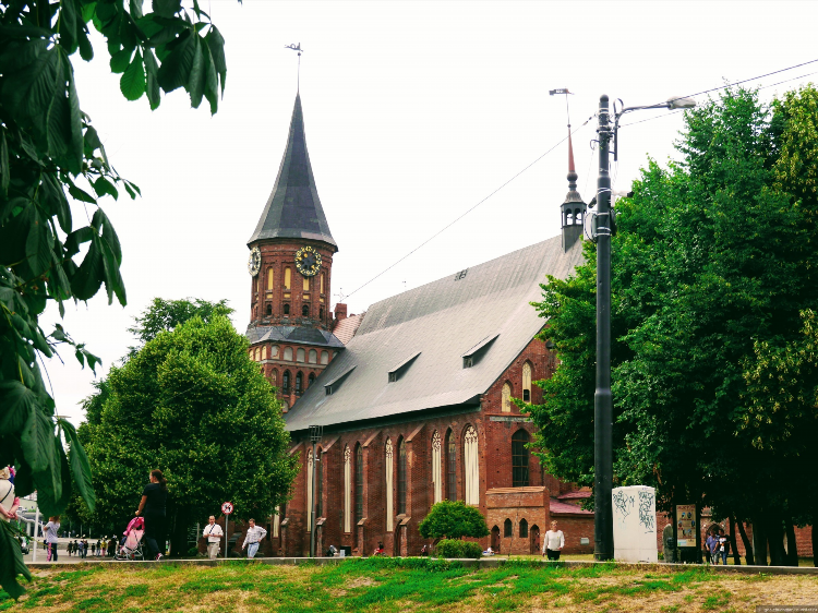 Собор в калининграде
