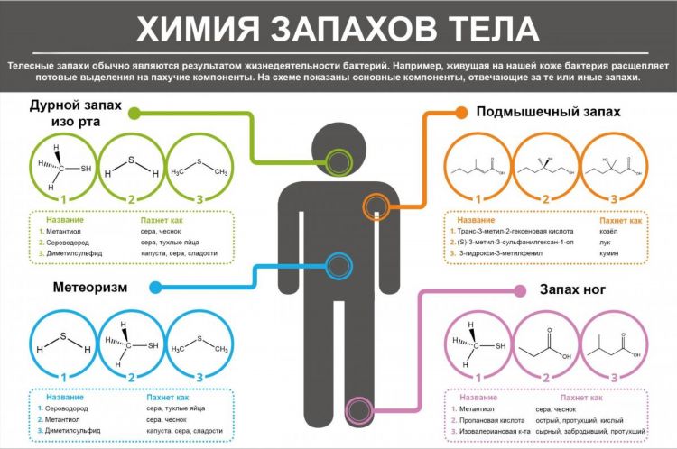 Тасалиев джаттай магомедович калининград