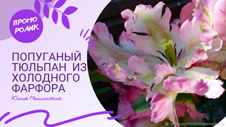 Тюльпаны калининград