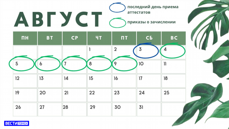 Томская 19 калининград институт