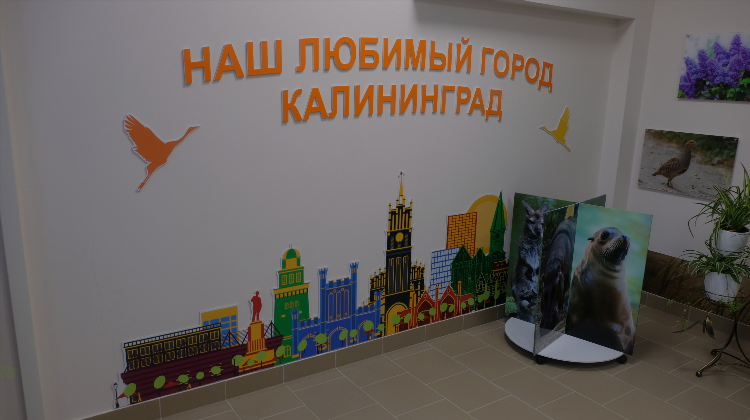 Ул новгородская калининград