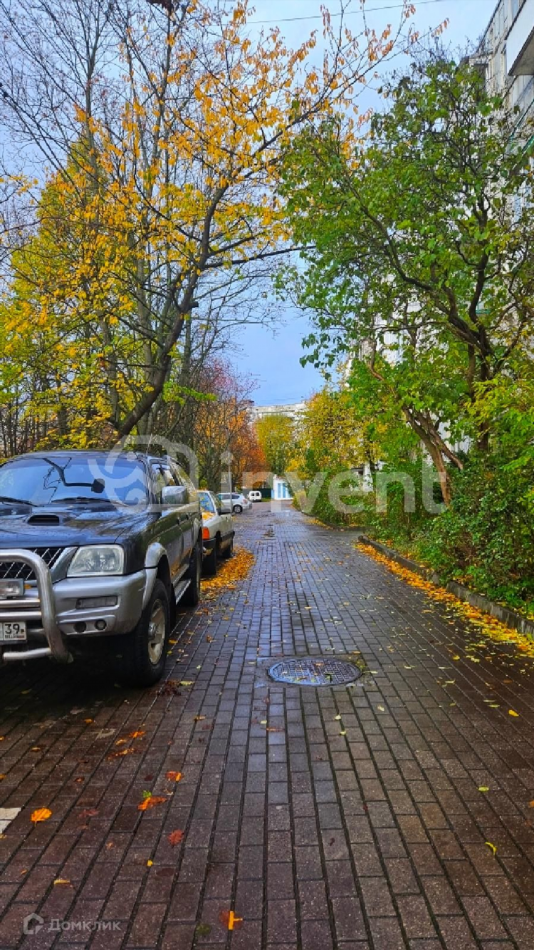 Улица куйбышева калининград