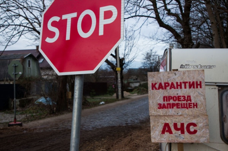 Virus калининград