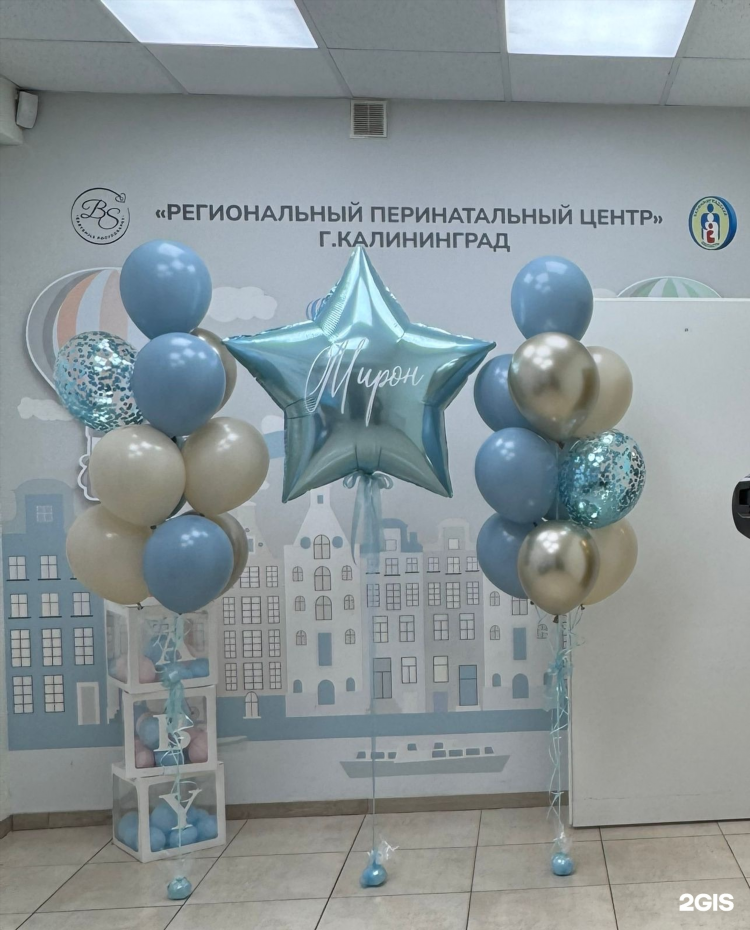 Воздушный шар калининград