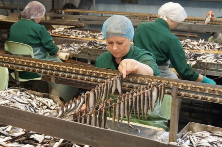 Замороженные продукты калининград
