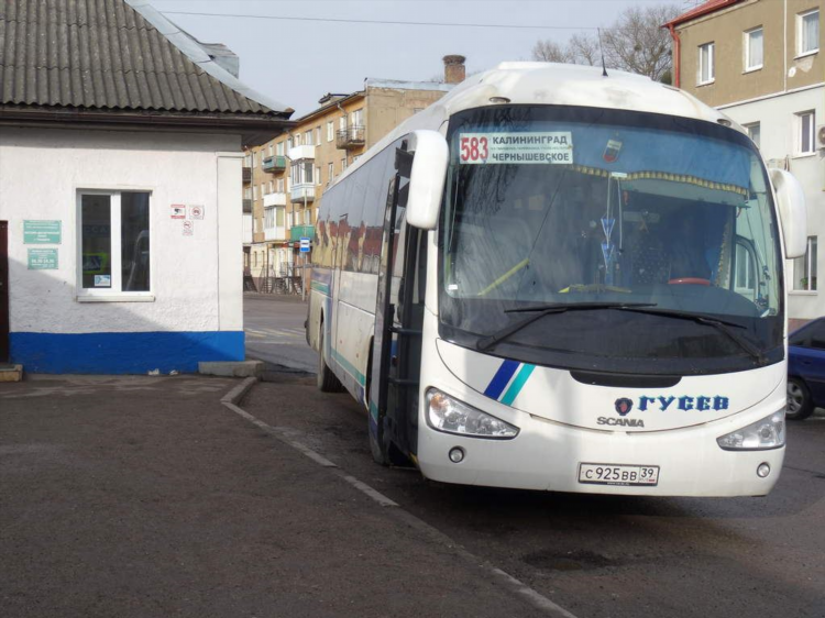 Зеленоградск калининград автобус расписание